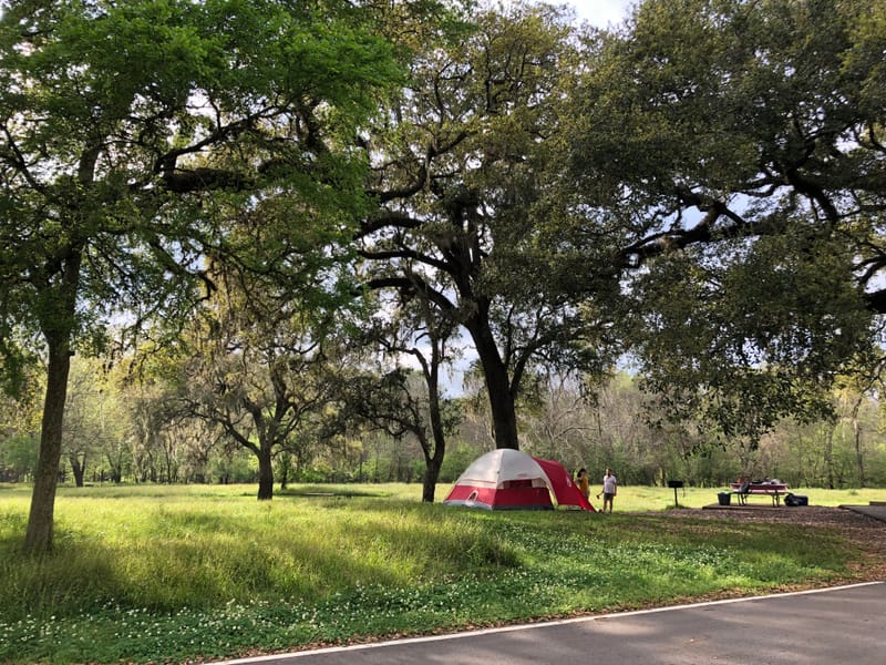 TXMAG - Harris County Camp Out
