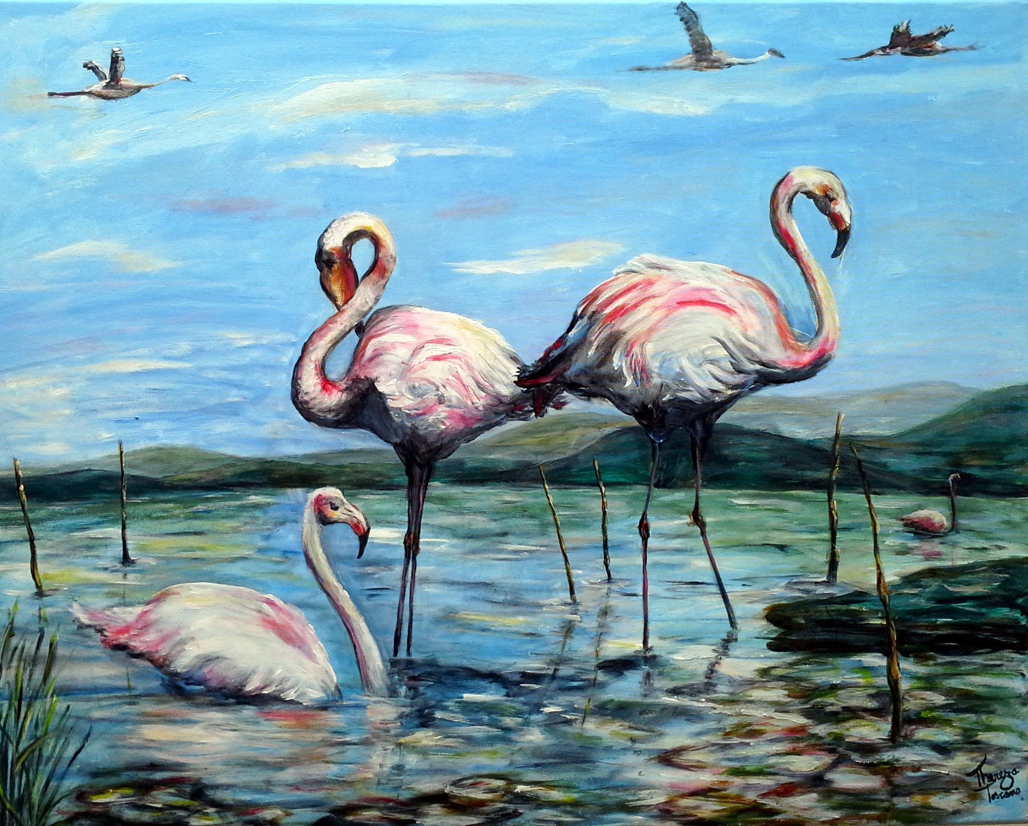 FLAMINGOS ast 80 x100