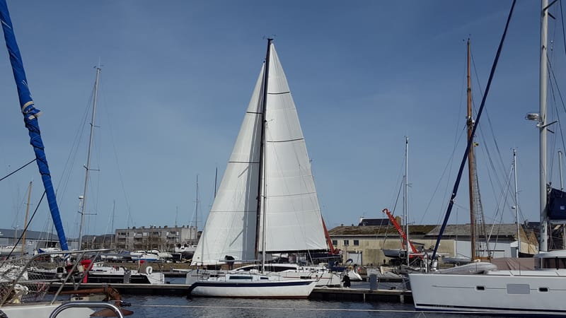 GRAND VOILE / MEMBRANE