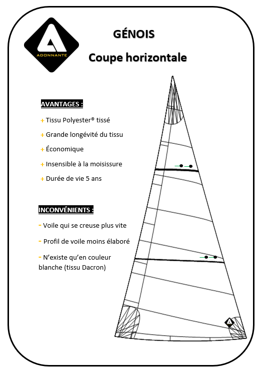 GENOIS / COUPE HORIZONTALE