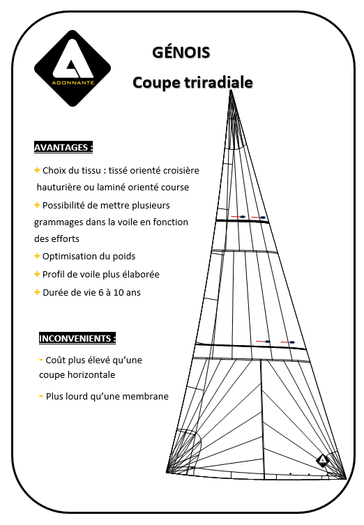 GENOIS / COUPE TRIRADIALE