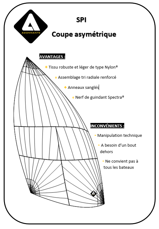 SPI ASYMETRIQUE