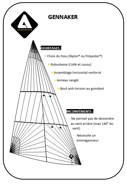GENNAKER / COUPE TRIRADIALE