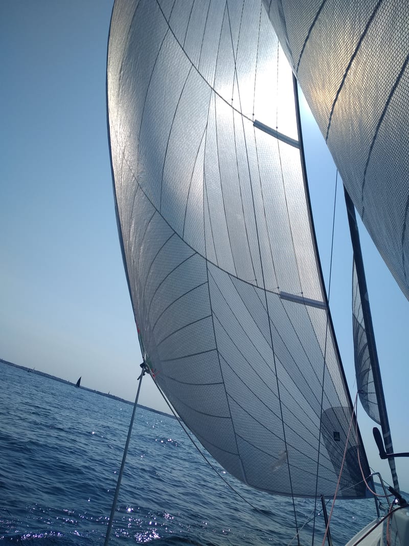 GENNAKER / COUPE TRIRADIALE