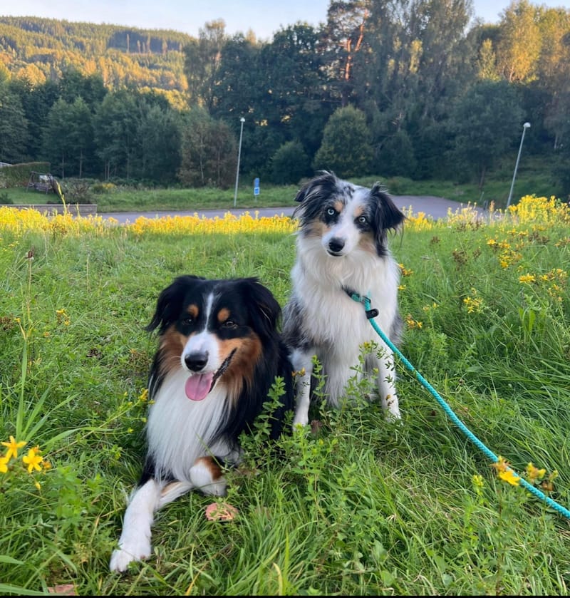 Fendi valpar höst 2023