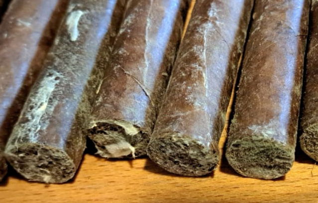 פתרונות לעובש על הסיגר או ביומידור