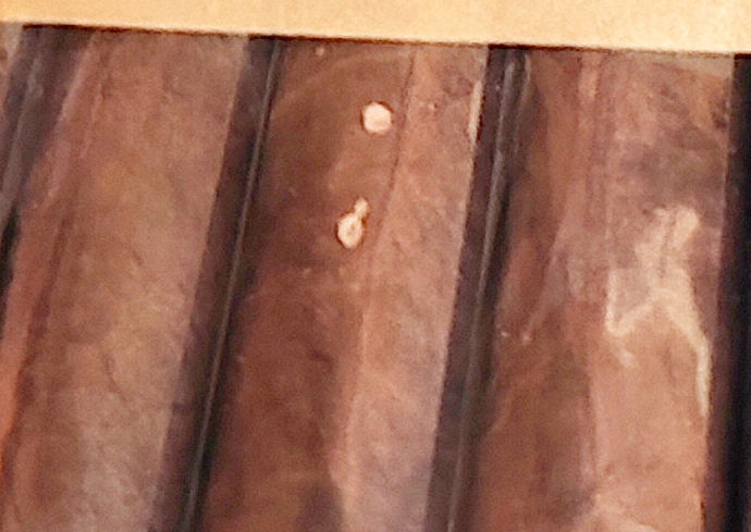 פיגמנטציה - כתמים ונקודות על הסיגר