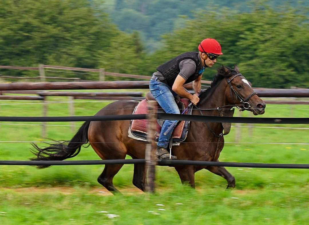 Sijoux, unser erstes Pferd