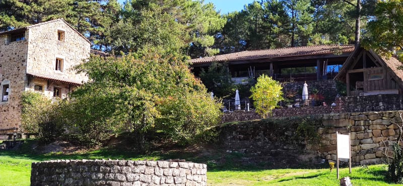 Taillé de printemps 2025