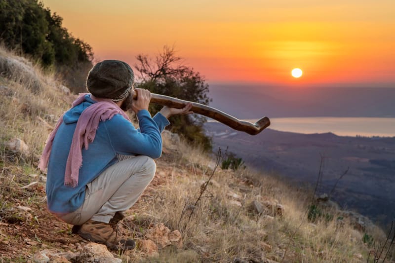 דיוקן של רגע