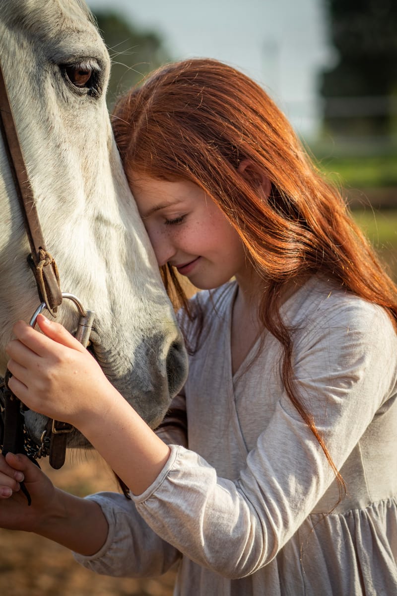 דיוקן של רגע