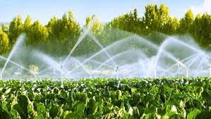 SISTEMAS DE RIEGO