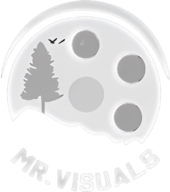 Mister Visuals