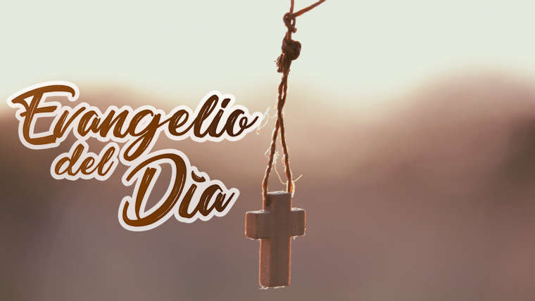 Today's Gospel Reflection