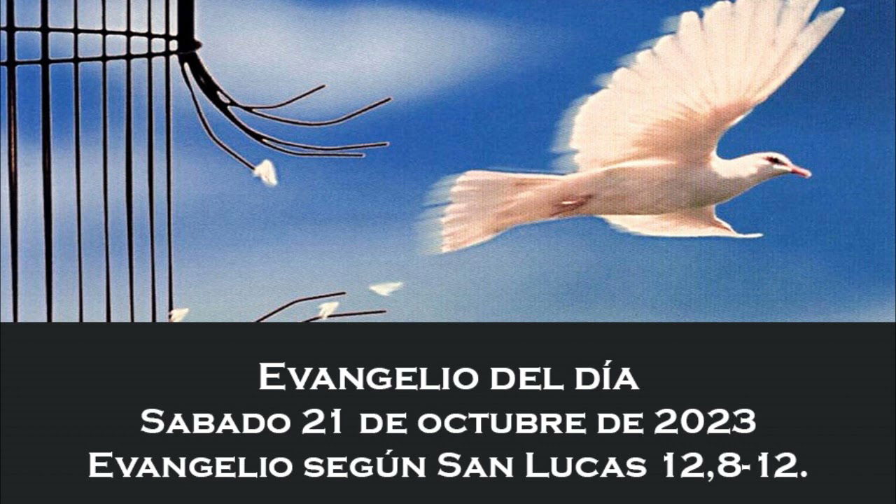 REFLECTION ON TODAY'S GOSPEL
