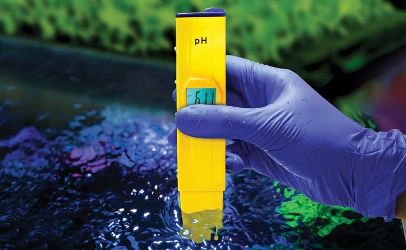 El pH en la Hidroponía: Equilibrio Esencial para el Éxito de tus Plantas