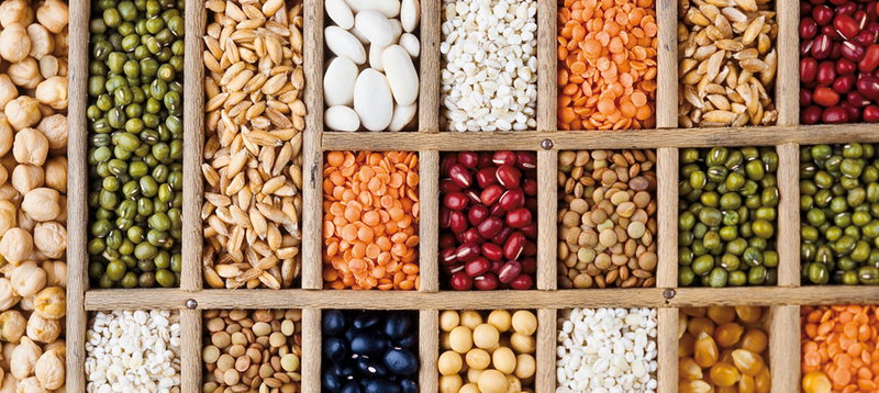 Guía Completa para la Elección de Semillas, Siembra y Germinación en la Hidroponía