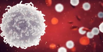 Blood Cells (Red, White, B-Cell, T-Cell)