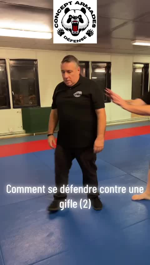 Défense sur gifle 