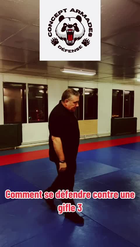 Défense sur gifle 