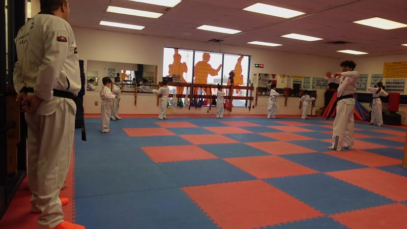 Taekwondo Training Classes