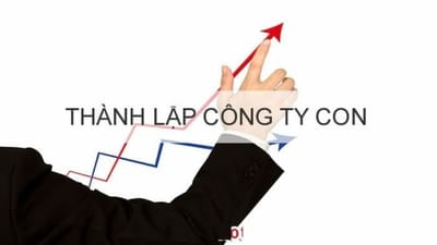 Hướng Dẫn Thực Hiện Hồ Sơ Thành Lập Công Ty Con Hiệu Quả Nhất.