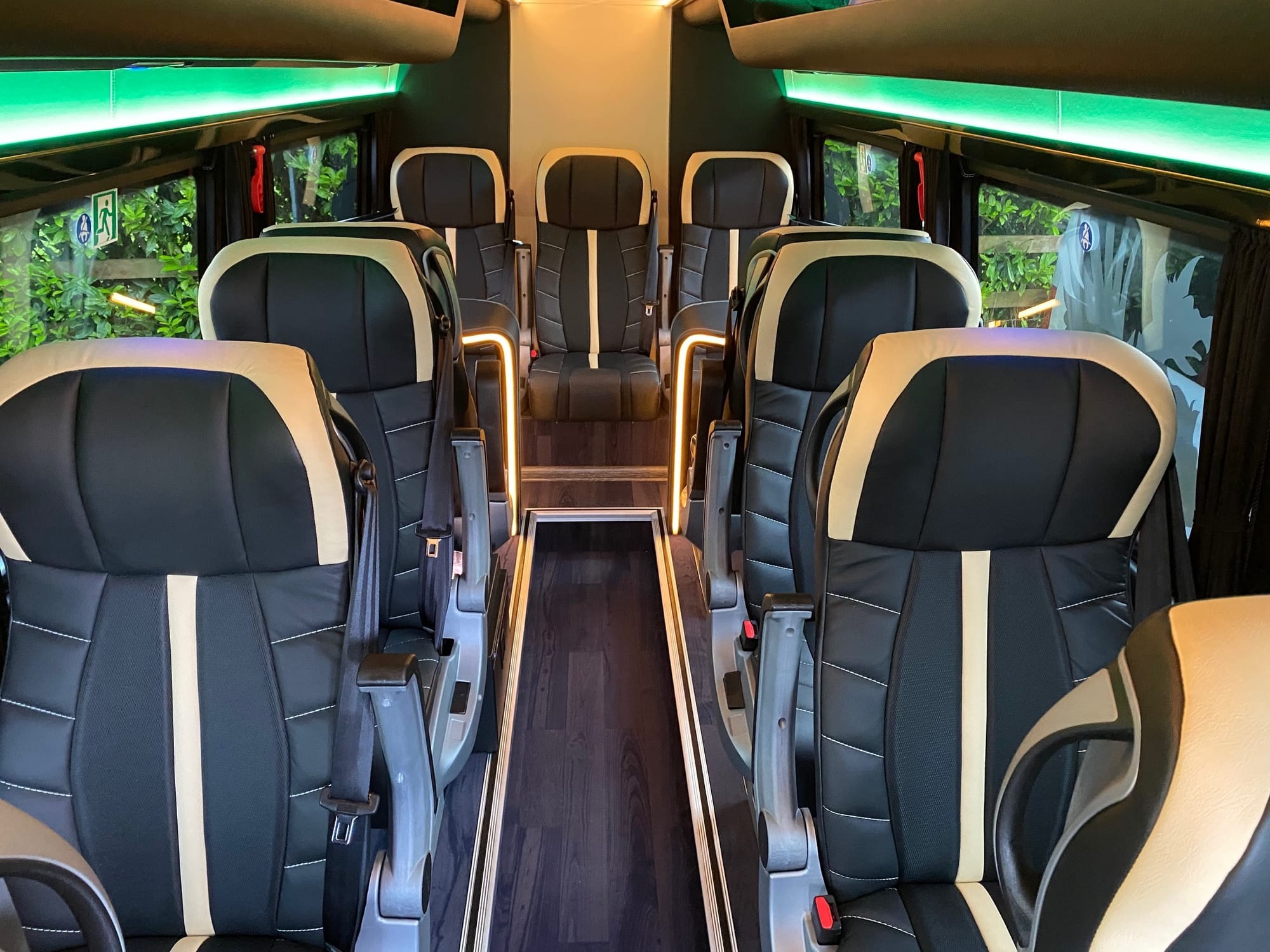 Luxury Mini Coach 11 Seats