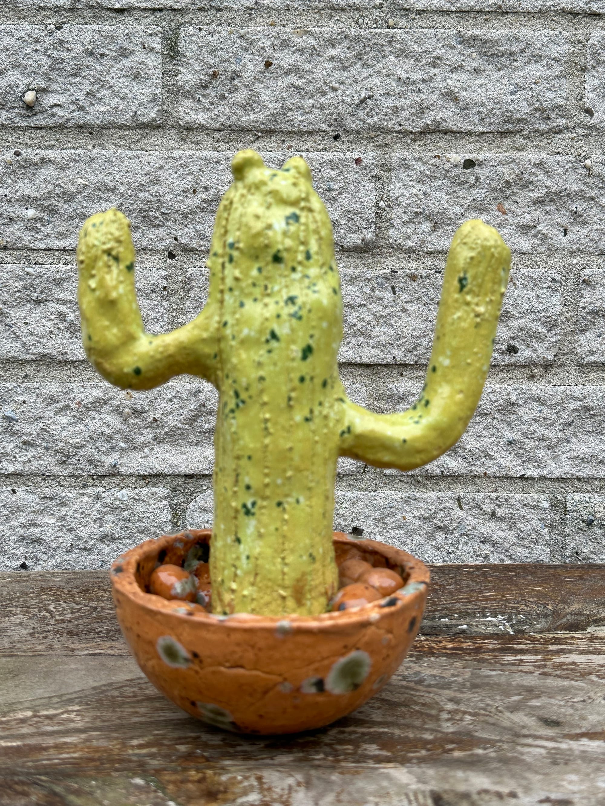 cactus 2