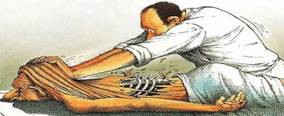 UN PEU D&#039;HUMOUR