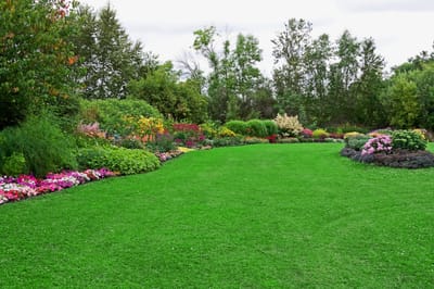 Reasons Why Hiring a Landscape Design Company is Good for Your Home image