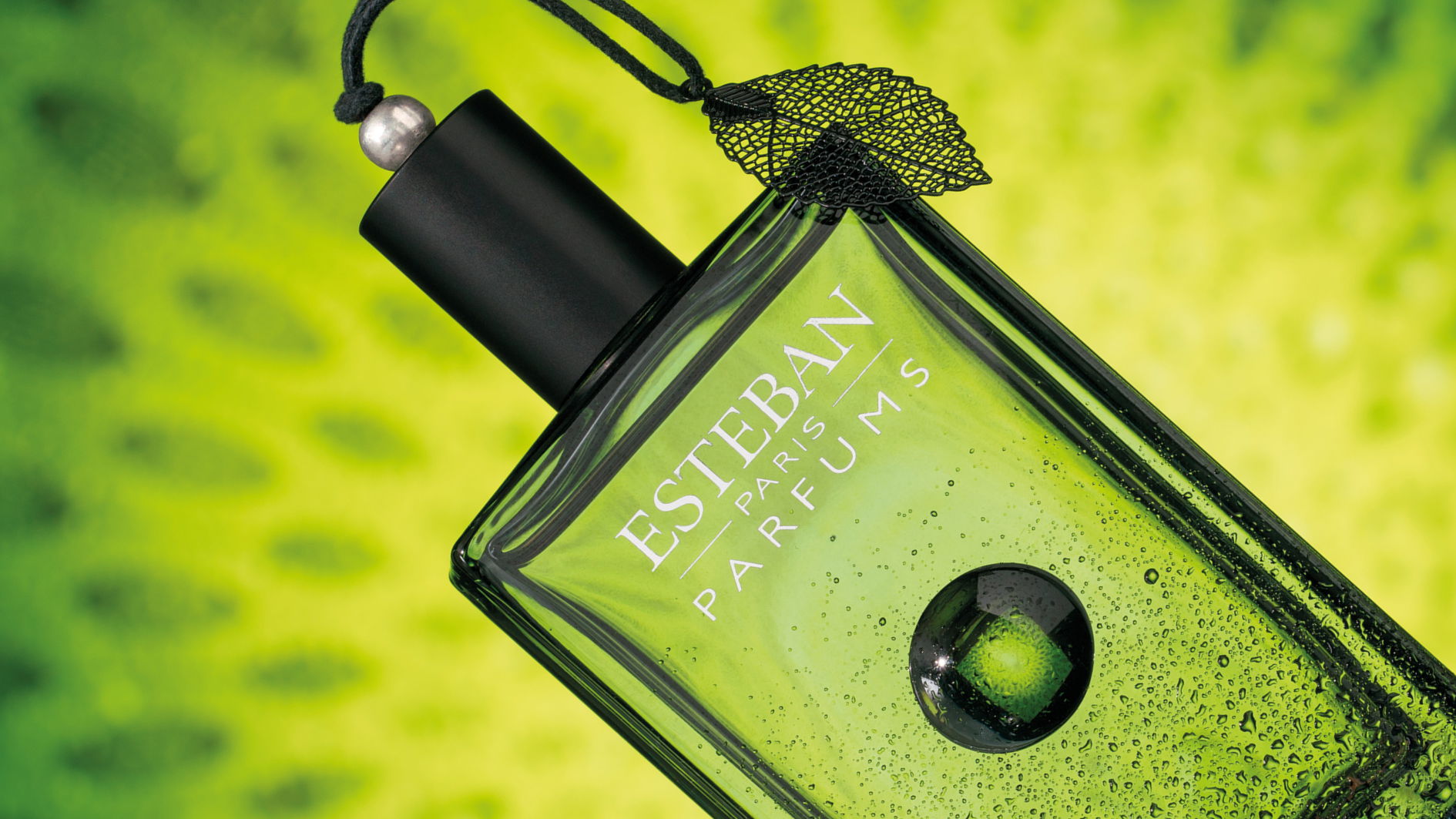 #BRANDING #ÉDITION#DESIGN PACKAGING#DESIGNPRODUIT