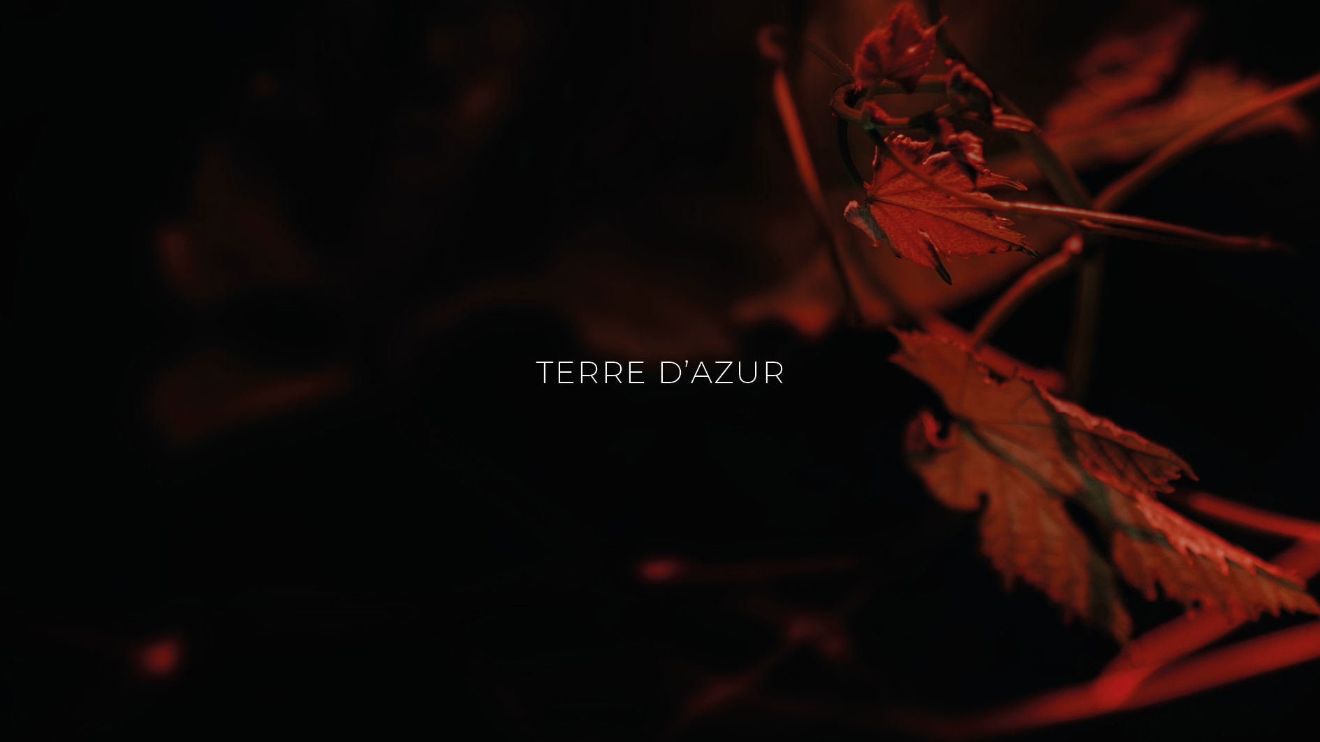 #BRANDING#DESIGN PACKAGING