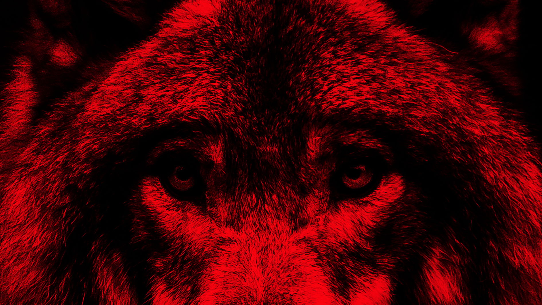 #BRANDING#DESIGN PACKAGING