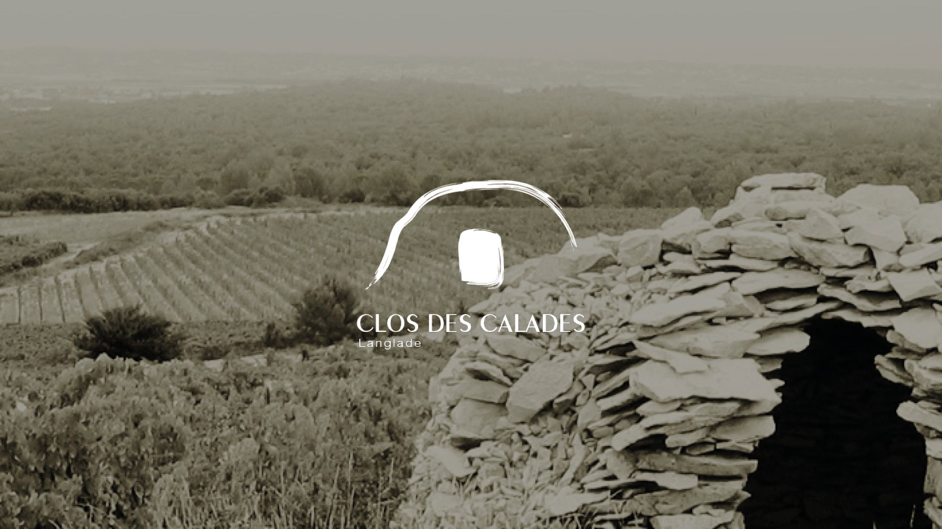 #BRANDING#DESIGN PACKAGING