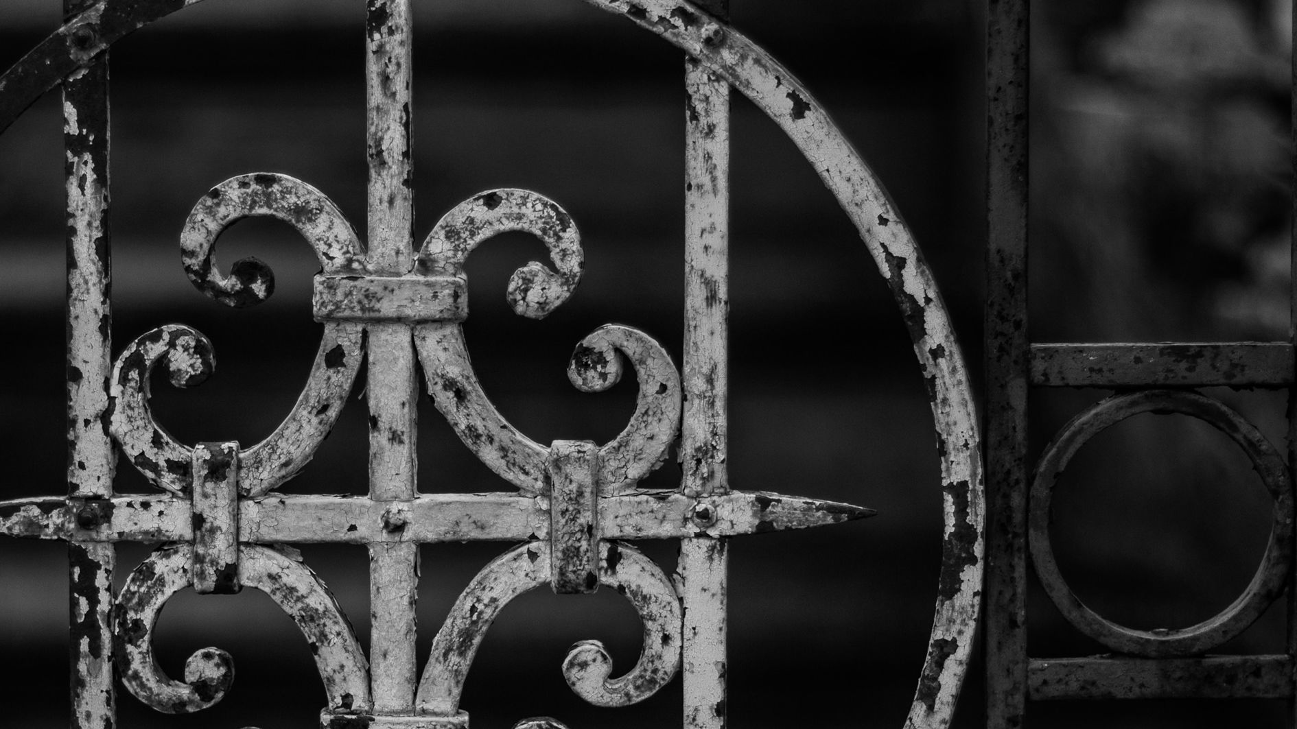 #DIRECTION ARTISTIQUE#BRANDING#ÉDITION