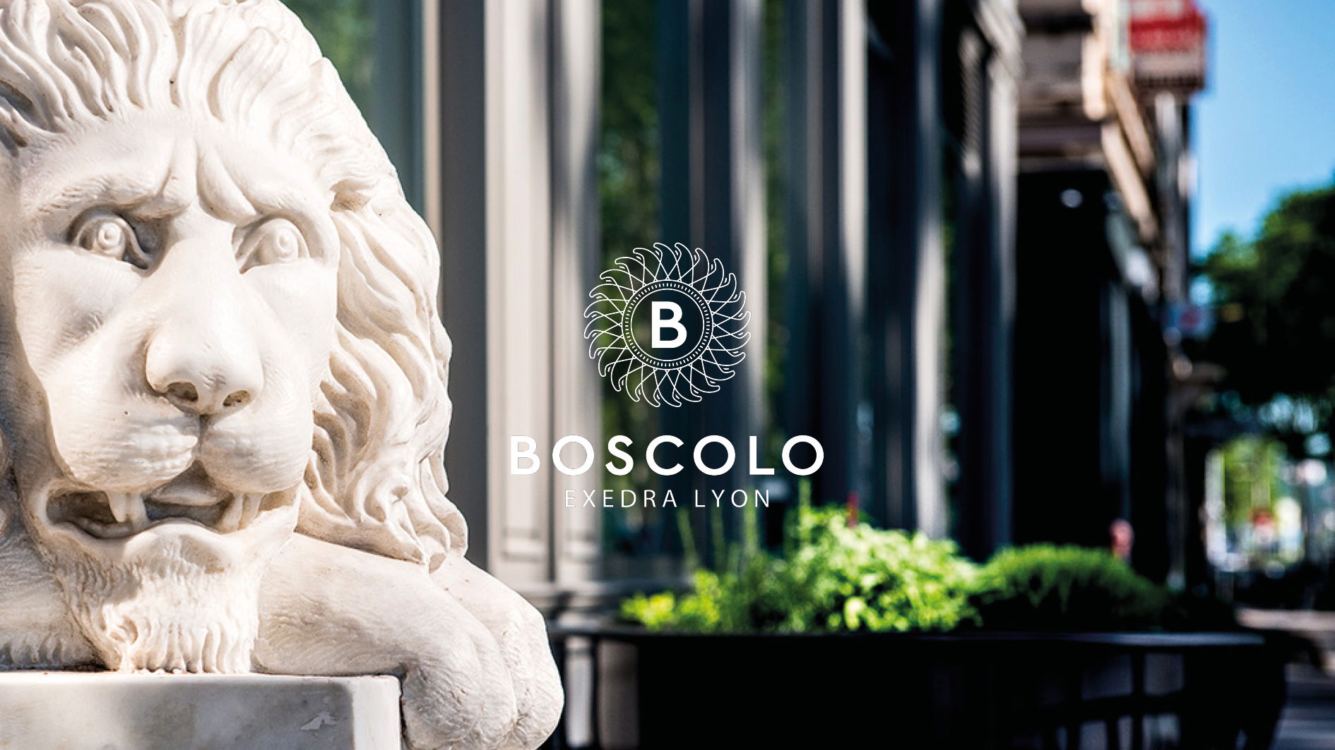 #DIRECTION ARTISTIQUE#TERRITOIRE DE COMMUNICATION #BRANDING#PUBLICITÉ#ÉDITION#DIGITAL