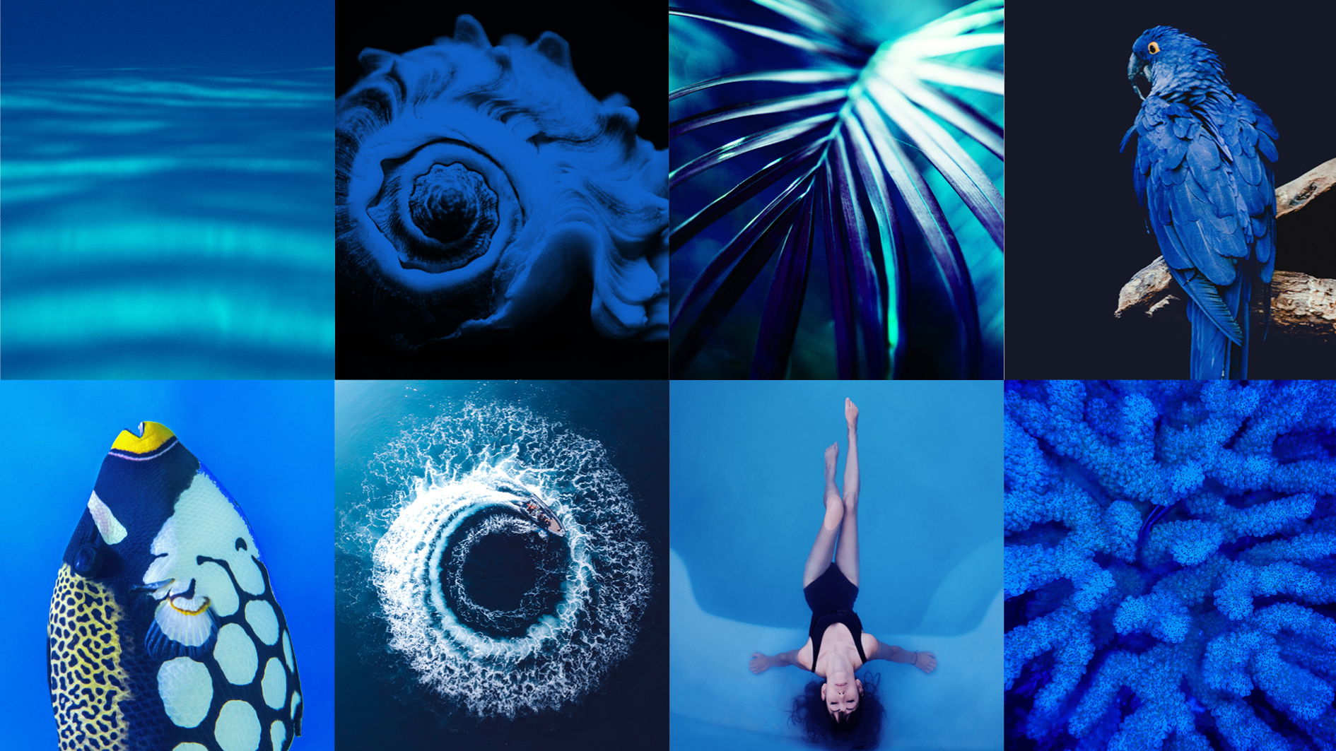 #STATÉGIE DE COMMUNICATION#STORYTELLING#TONE OF VOICE #DIRECTION ARTISTIQUE ICONOGRAPHIQUE#SOCIAL MEDIA