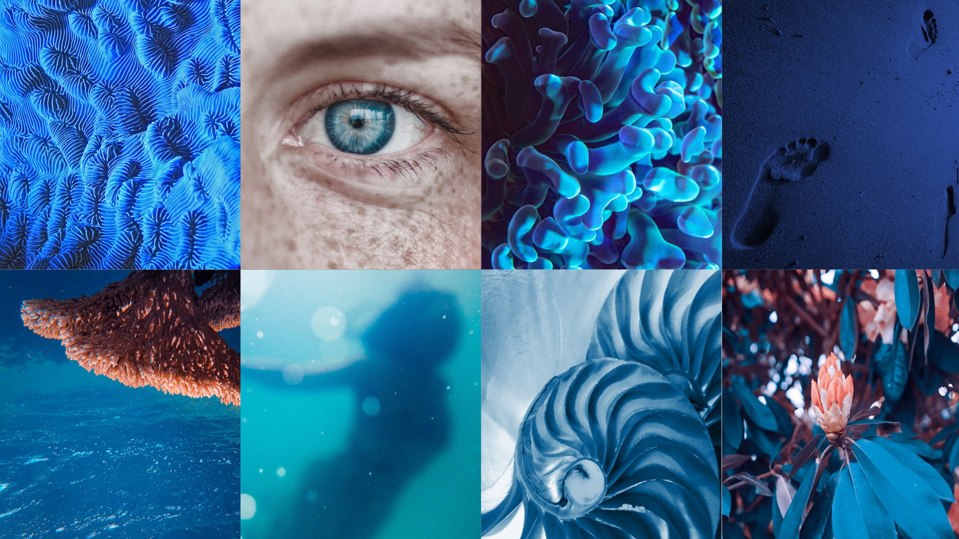 #STATÉGIE DE COMMUNICATION#STORYTELLING#TONE OF VOICE #DIRECTION ARTISTIQUE ICONOGRAPHIQUE#SOCIAL MEDIA