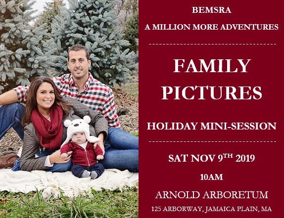 Holiday Mini Session