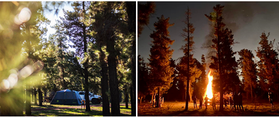 Little Eeden Pine Camp