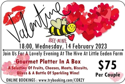 VALENTINES DAY AT THE HIVE