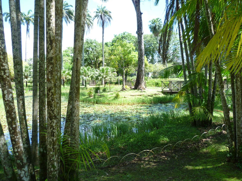 JARDIN BOTANIQUE