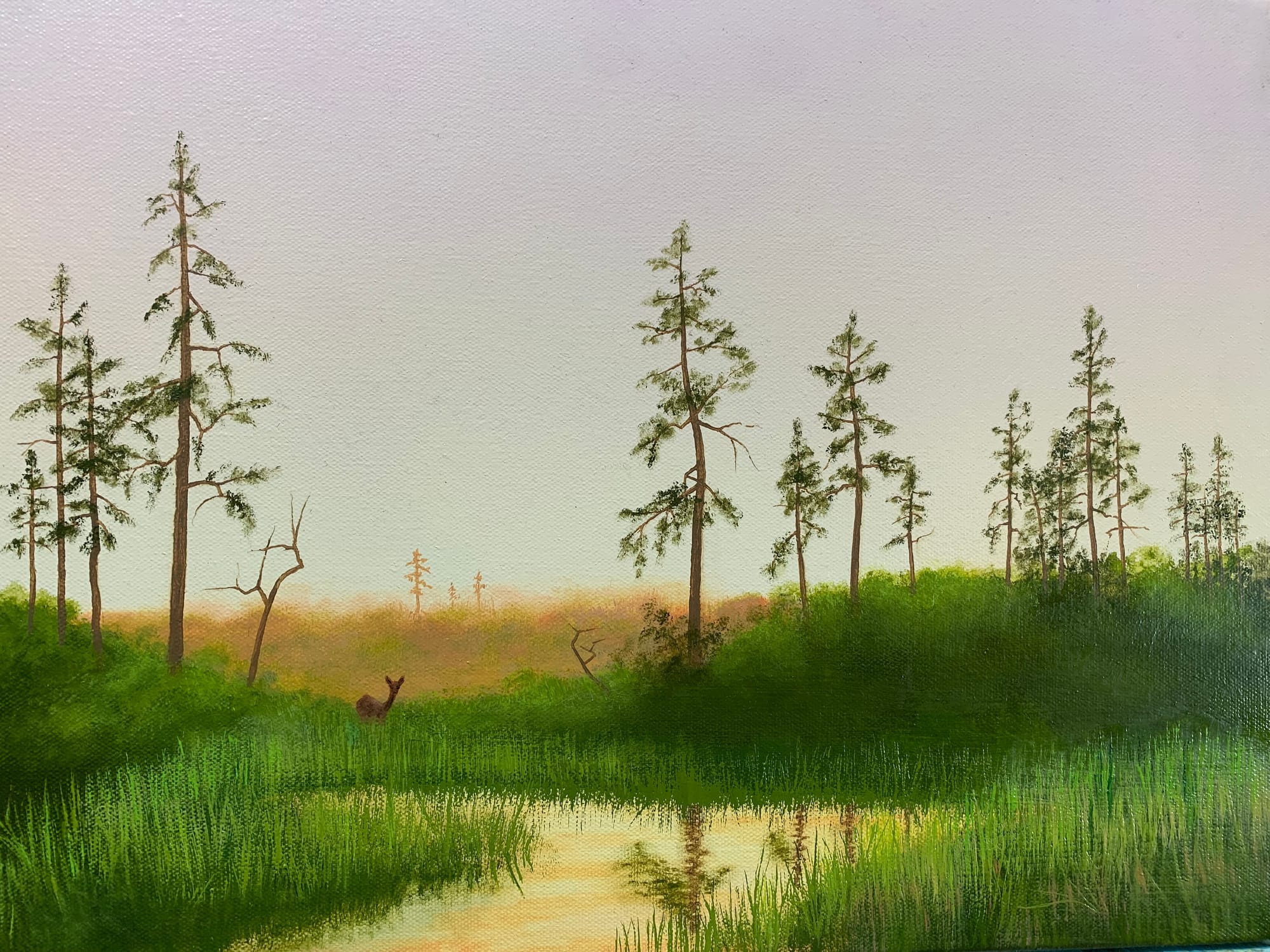 Dear at the Pond 2024
