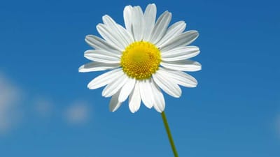 แหล่งที่มา