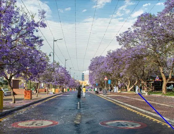 أماكن سياحية تستحق الزيارة في أبها