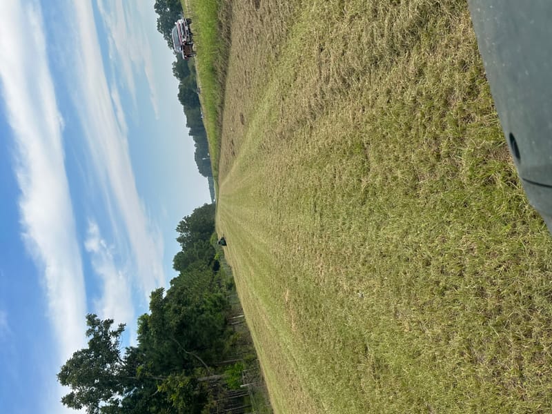 Lawn Care and Landscaping