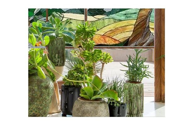 INTERET AGRONOMIQUE ET SOCIAL