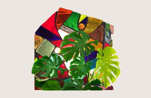 INFLUENCE DE LA LUMIERE COLOREE SUR LA CROISSANCE DES PLANTES