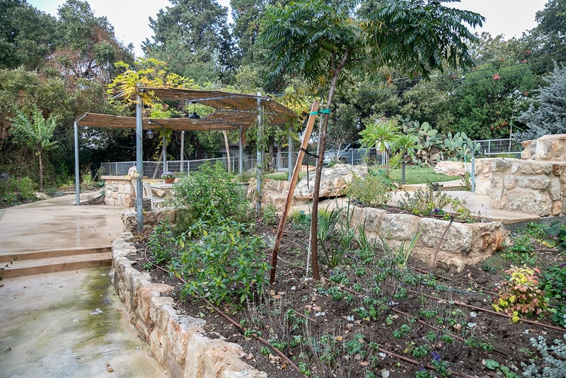 גינה ומטבח חוץ