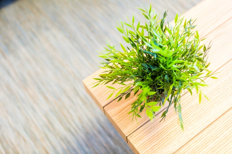 דירה ברחובות